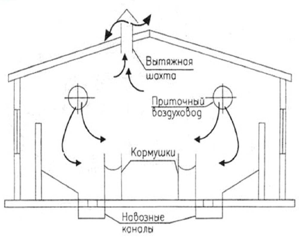 Вентиляция в сарае своими руками: принципы работы, плюсы и минусы, схема, а также как правильно сделать в помещении с животными – курами и свиньями?
