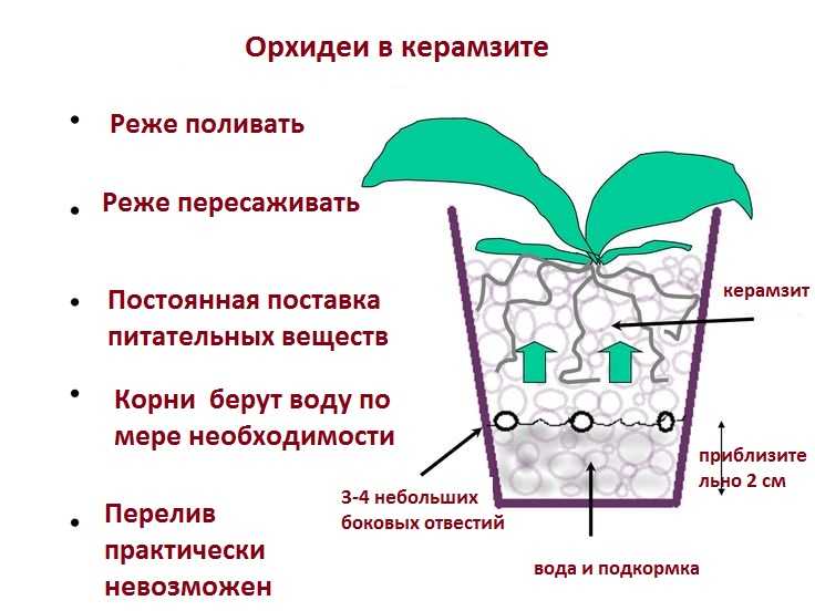Дренаж для комнатных цветов