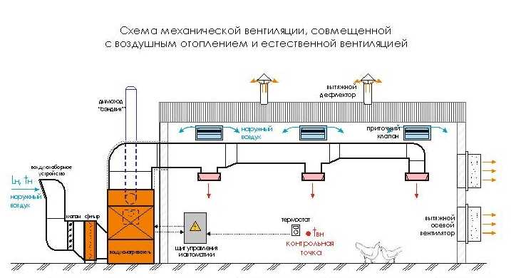 Вентиляция коровника своими руками, соблюдая нормы на 200 голов