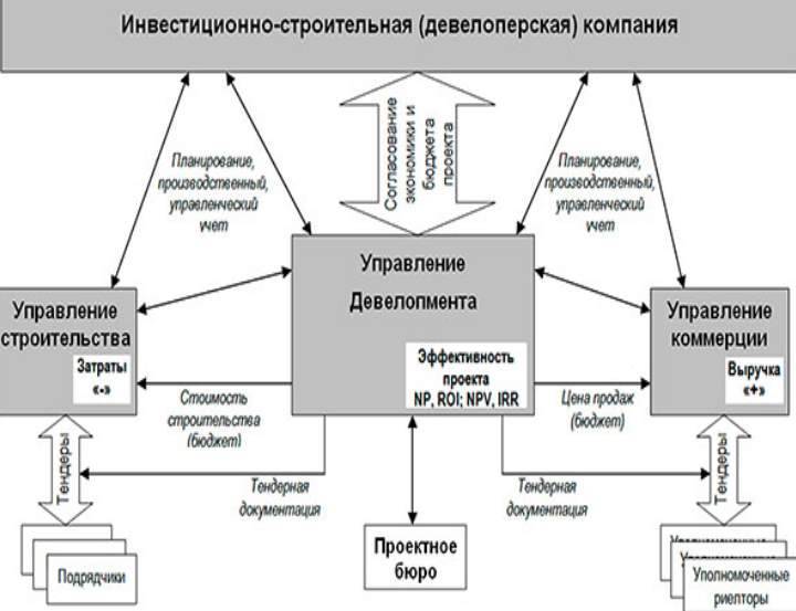 Девелопер кто это и чем занимается - обзор профессии