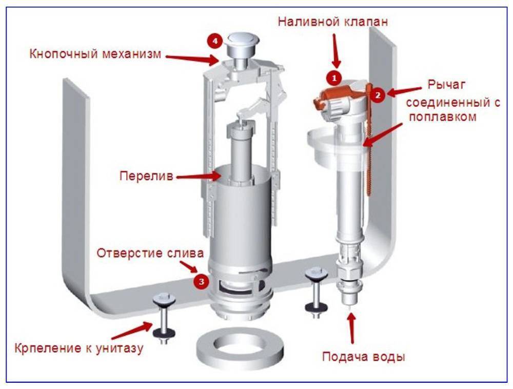 Сливной механизм для унитаза: виды сифонов, система слива для бачка, начинка, спусковой механизм, сифон