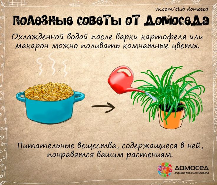 Советы по хозяйству - статьи wikihow