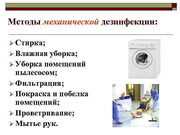 Плесень в стиральной машине: как избавиться, откуда берется, насколько опасна, какие виды встречаются